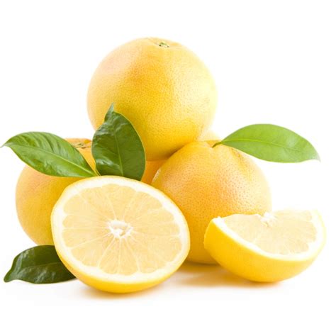 White Grapefruit (Large) — MomoBud