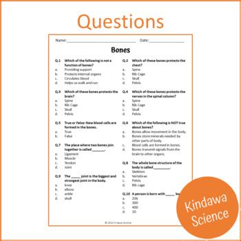 Bones Reading Comprehension Passage And Questions Pdf By Kindawa Science