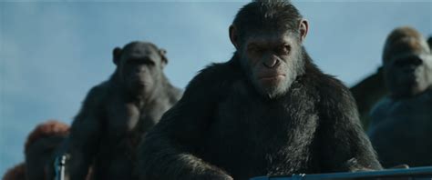 War for the Planet of the Apes Trailer: Witness the End