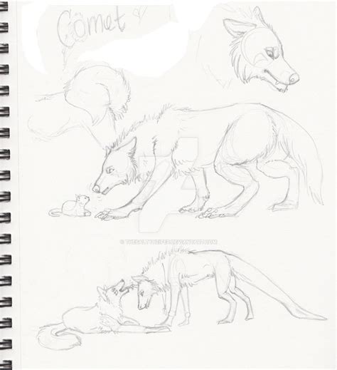 Comet sketches by theSaltyHeifer on DeviantArt