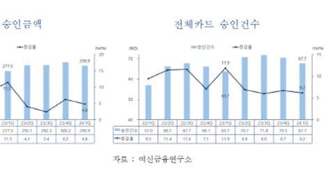 온라인쇼핑·해외여행객 늘자 1분기 카드사용액 48 증가