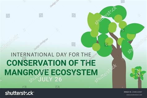 International Day Conservation Mangrove Ecosystem Background Stock