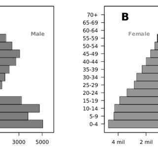 Age And Sex Distributions Of A The Life Span Study Population A