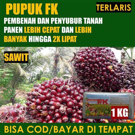 Jenis Pupuk Kelapa Sawit Jenis Pupuk Yang Cocok Untuk Perkebunan