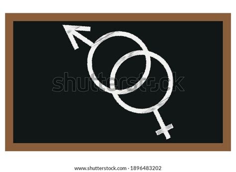 Blackboard Sex Education On White Background Stock Vector Royalty Free 1896483202 Shutterstock