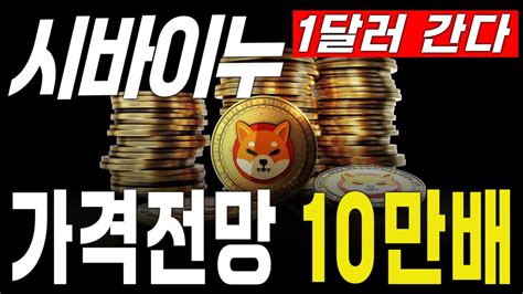 시바이누코인 전망 시바이누 가격 전망 지금부터 10만배 상승 1달러 갑니다시바이누코인 비트코인하락 밈코인 Youtube