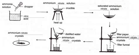 Chemistry Assignment: Ammonia