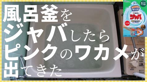 【二つ穴用】ジャバ ＆ オキシクリーンで風呂釜洗浄 Youtube