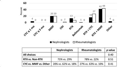 Treatment Choices For Ln Refractory To Induction Therapy With Renal Download Scientific Diagram