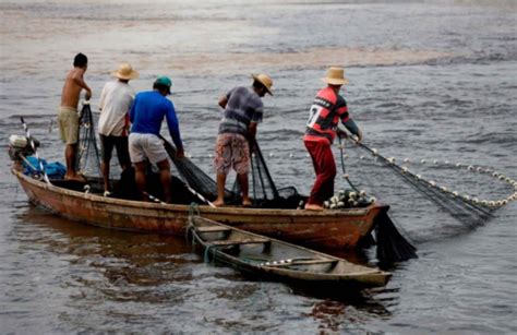 Aumenta La Captura De Pescado En La Costa Central De Veracruz Previo A