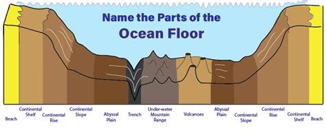 Diagram of the Ocean Floor