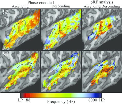 Tonotopic Maps For The Left Hemisphere Of Subject 3 First Row And