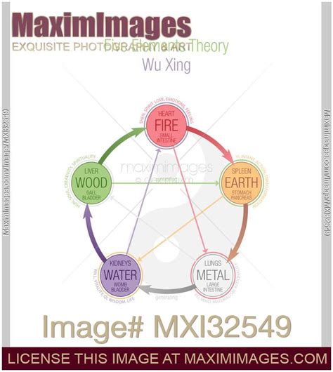 Image Of Five Elements Theory Chart Wuxing Wu Xing In Taoism And Tcm