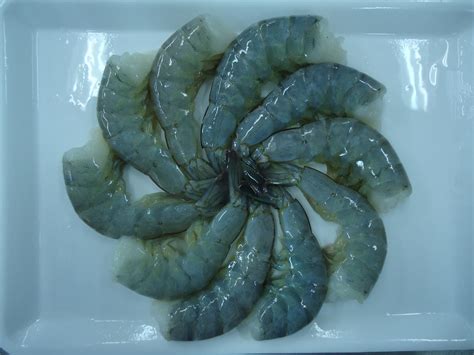 Frozen Raw Hlso Vannamei Prawn