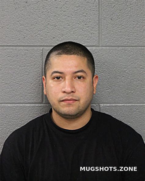 Fernando Lara Chicago Mugshots Zone