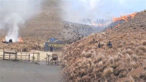 Viral Savana Gunung Bromo Terbakar Diduga Ulah Pasangan Prewedding