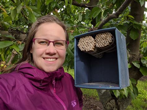 Honey Bee Heat Warms Up Fellow Pollinators for Early-Season Blooms