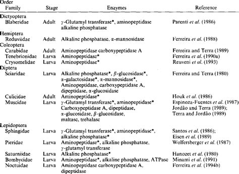 Digestive Enzymes And Functions Table Elcho Table