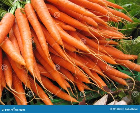 Morot arkivfoto. Bild av gräsplaner, morot, grönsak, grönsaker - 2613970