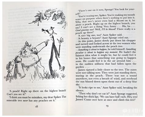 【开团】奇幻文学大师罗尔德·达尔roald Dahl 全集 15册 爱贝亲子网