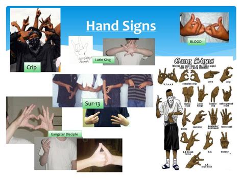 PPT - Gangs, Bullying, and Violence PowerPoint Presentation - ID:3041281