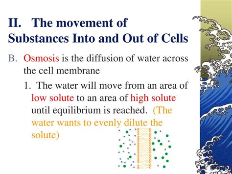 Ppt Assignment Diffusion And Osmosis Powerpoint Presentation Free