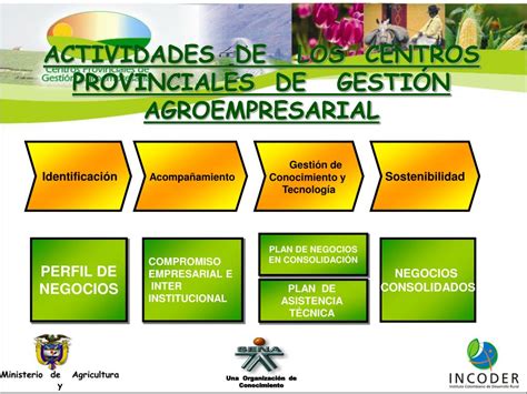 Ppt Porqué Surgen Los Centros Provinciales De Gestión Agroempresarial