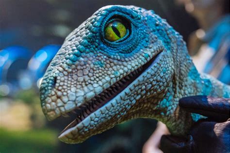 Jurassic World The Exhibition Llega A CDMX Todo Lo Que Debes Saber