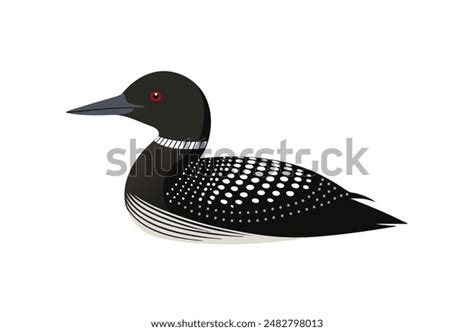 289 Loon Bird Stock Vectors and Vector Art | Shutterstock