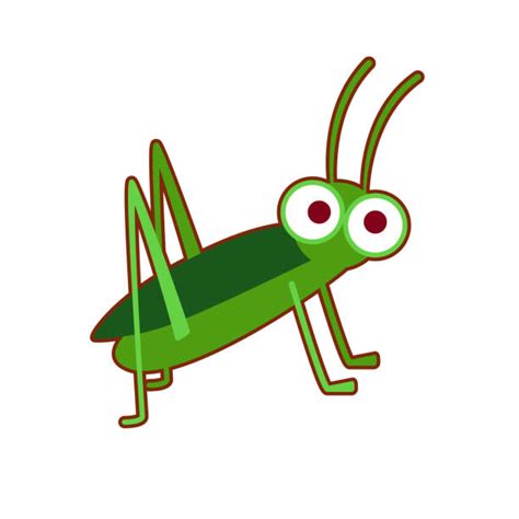 Funny Grasshopper Jumping Illustrations Royalty Free Vector Graphics And Clip Art Istock