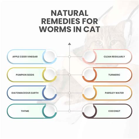 At Home Remedies For Cats With Worms at Scott Gerber blog