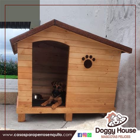 Casas Para Perros Somos Fabricantes