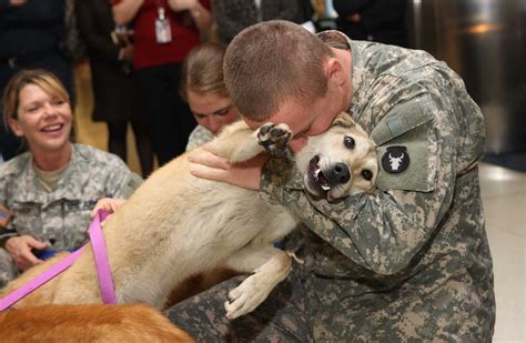 Army Dogs Memorial