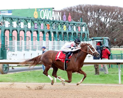 Oaklawn: Swinging for the Fences in Tinsel Stakes | TwinSpires