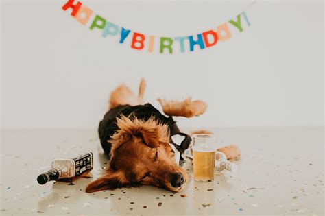 Doge Birthday 21