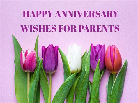 10 Best Happy anniversary wishes for parents - WishesandSuccess