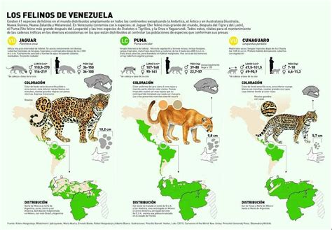 SIMPOSIO LOS FELINOS DE VENEZUELA Presentación Edición Especial de la