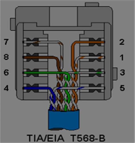 Rj45 Female Connector Wiring Diagram