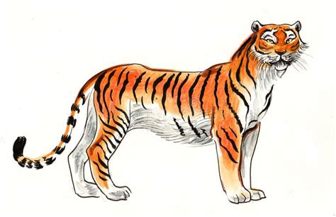 Standing Tiger Stock Illustration Illustration Of Stripes 124144929