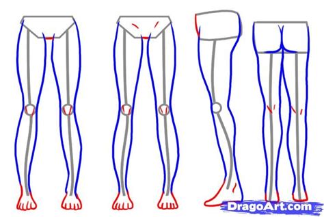 How To Draw Legs Step By Step Drawing Guide By Dawn Drawing