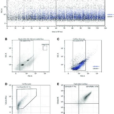 Characterization Of Neutrophil Evs By High Resolution Flow Cytometry Download Scientific