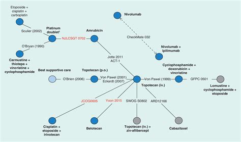 Indirect Comparison Of Nivolumab Ipilimumab CheckMate 032 Versus