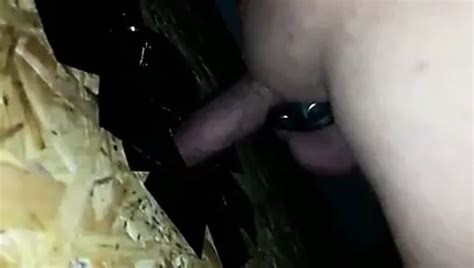 Free Shemale Gloryhole Porn Videos 4 XHamster