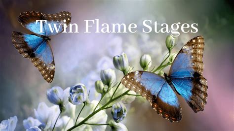 The Stages Of Twin Flame Chaser Emotions