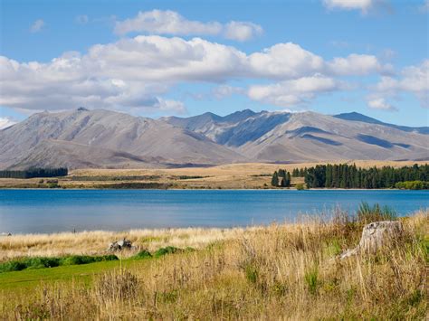 The Slow Road | Lake Tekapo: Blue Waters and Starry Skies