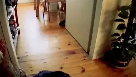 Tattooed German Blonde With A Slim Body Loves Fucking With A Hard Cock XHamster