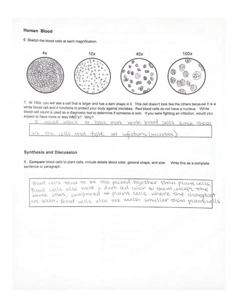 Solution Virtual Microscope By Bionetwork Studypool