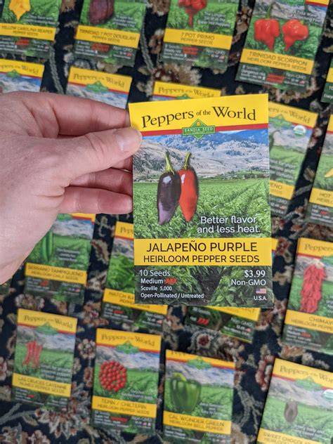 How To Grow Jalapeno Peppers From Seeds Sandia Seed Company