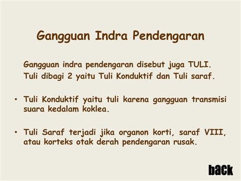 Sistem Indra Pada Manusia Ppt