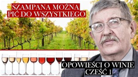 Wszystko Co Powiniene Wiedzie O Winie Dlapolski Pl